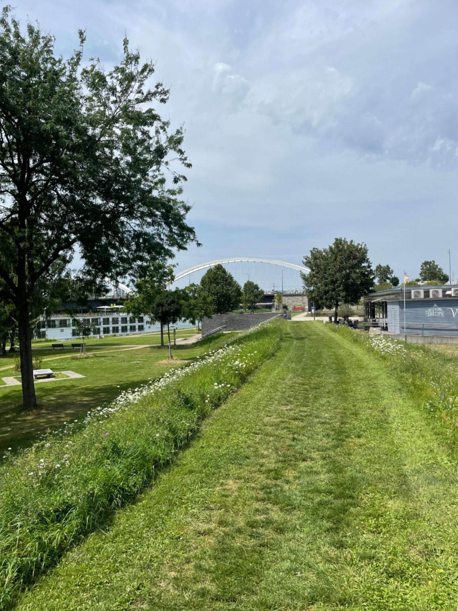 Luminous Apartment In Kehl Near Strasbourg, Conveniently Located Next To A Tram Stop With Direct Access To Strasbourg City Centre Esterno foto